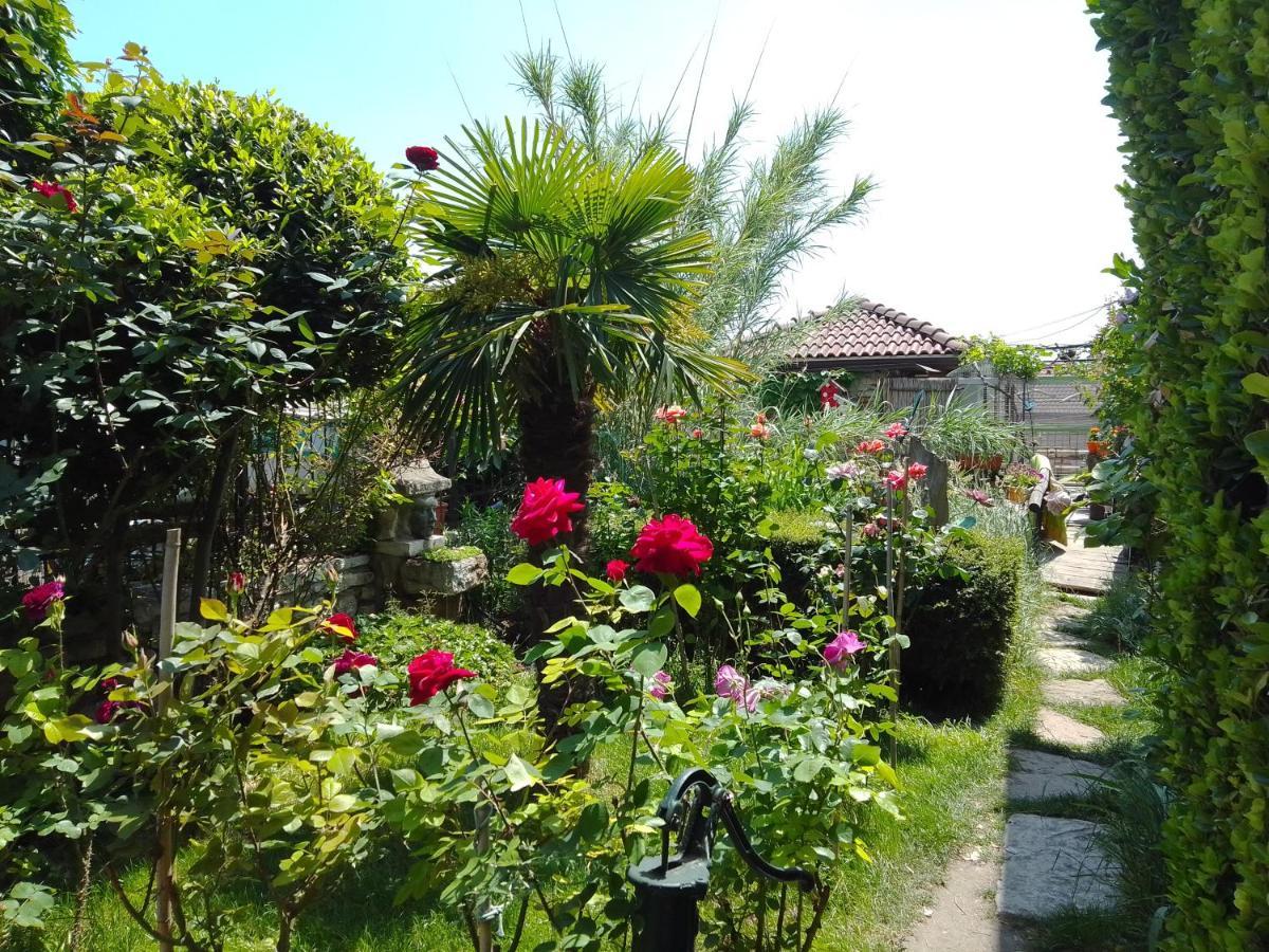 Guest House Amazonia Varna Dış mekan fotoğraf