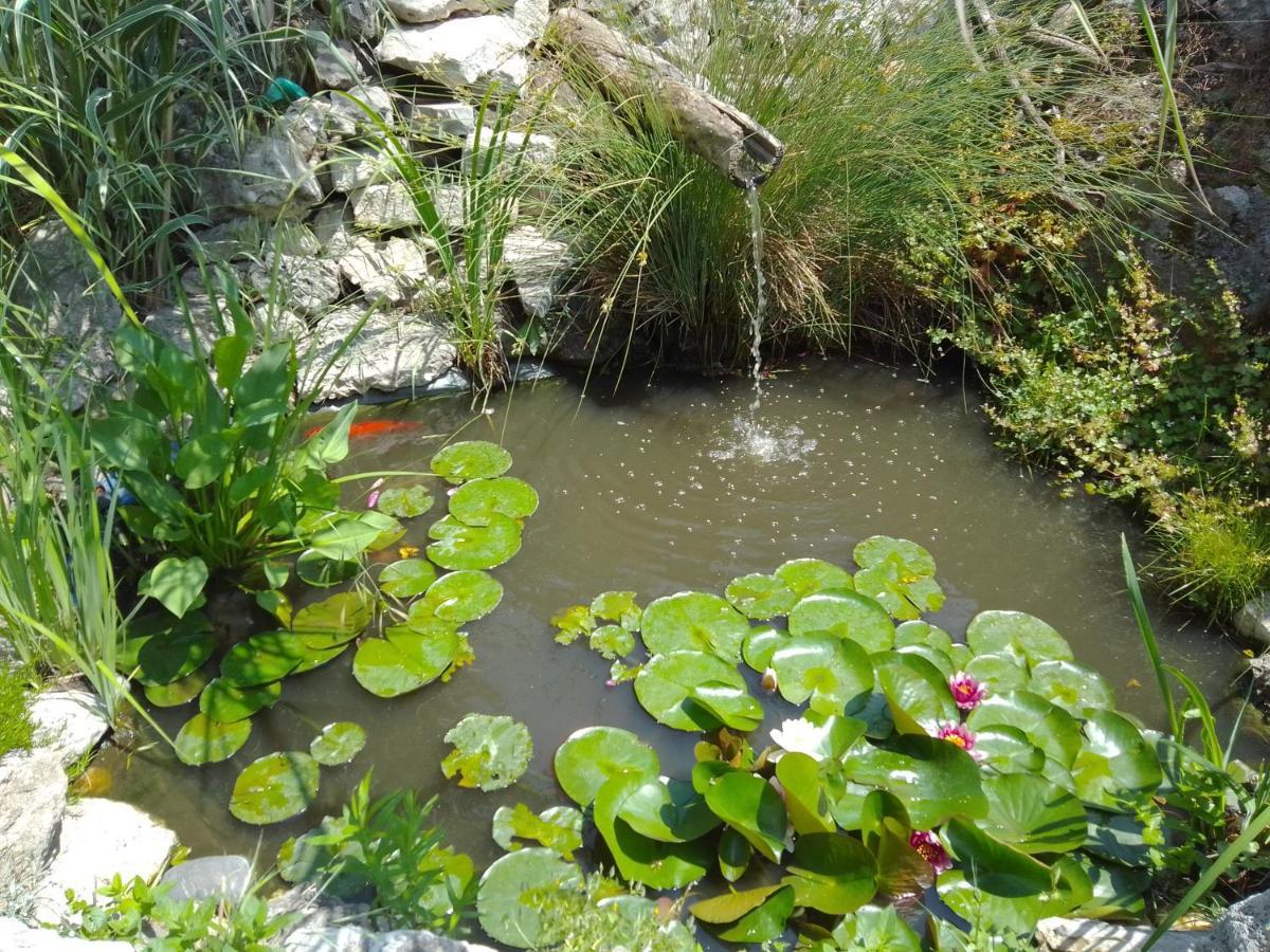 Guest House Amazonia Varna Dış mekan fotoğraf
